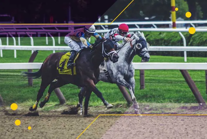 actividades-moneyless