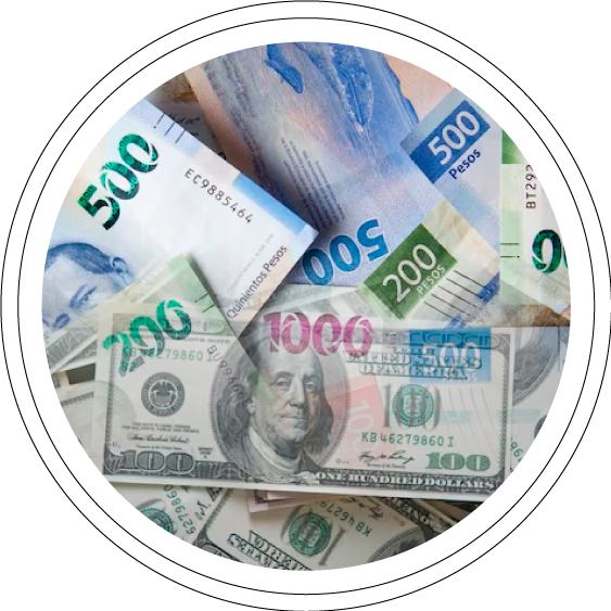 multimoneda-discovery